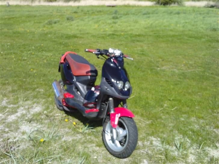 PGO pmx sport (bytte til hot) billede 13