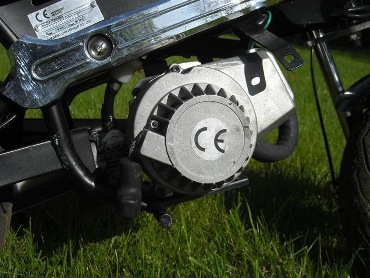 MiniBike 49cc West Racer billede 4