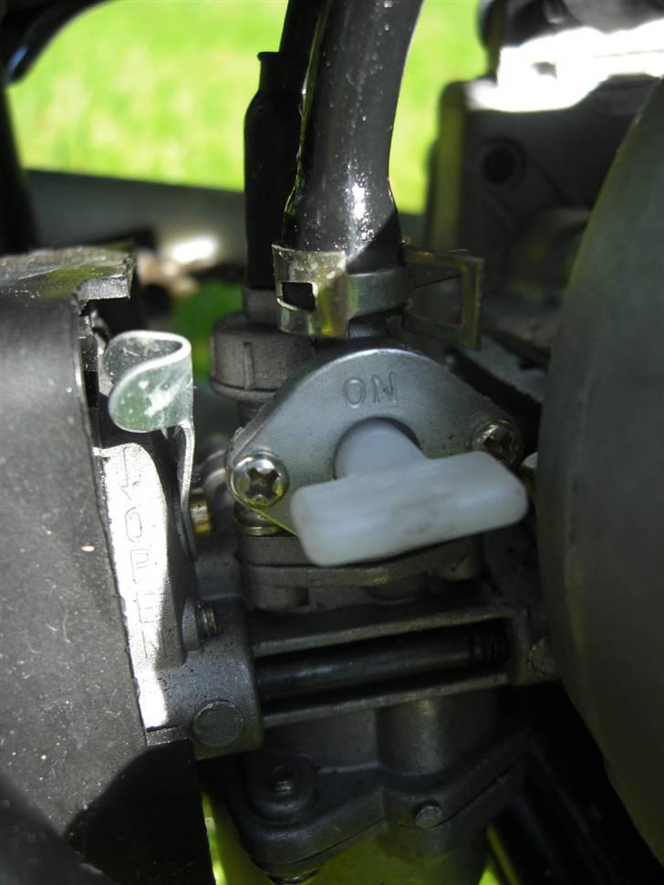 MiniBike 49cc West Racer billede 5