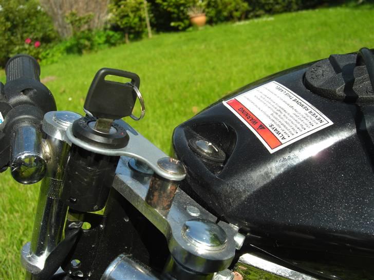 MiniBike 49cc West Racer billede 6