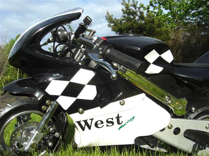 MiniBike 49cc West Racer billede 11