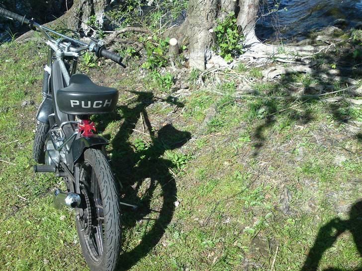 Puch maxi (Sorte Suzi) billede 5