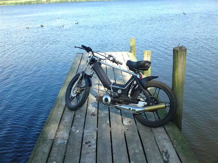 Puch maxi (Sorte Suzi) billede 11