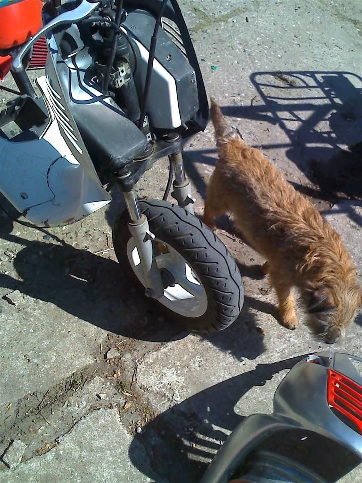 Aprilia Sonic S6R AC (Før) billede 13