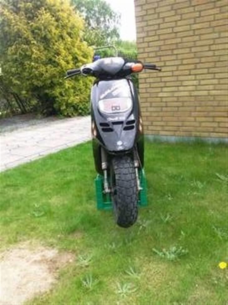 Piaggio typhoon død billede 4