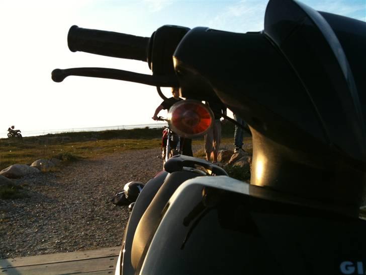 Giantco Stealth 90c Bambus Rakket billede 18