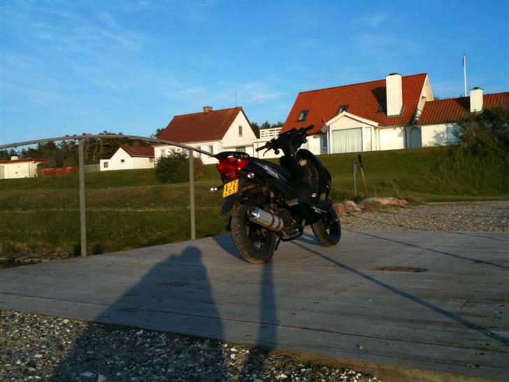 Giantco Stealth 90c Bambus Rakket billede 20