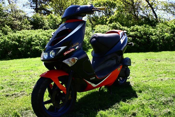 Aprilia sr50 ditech byttet billede 4