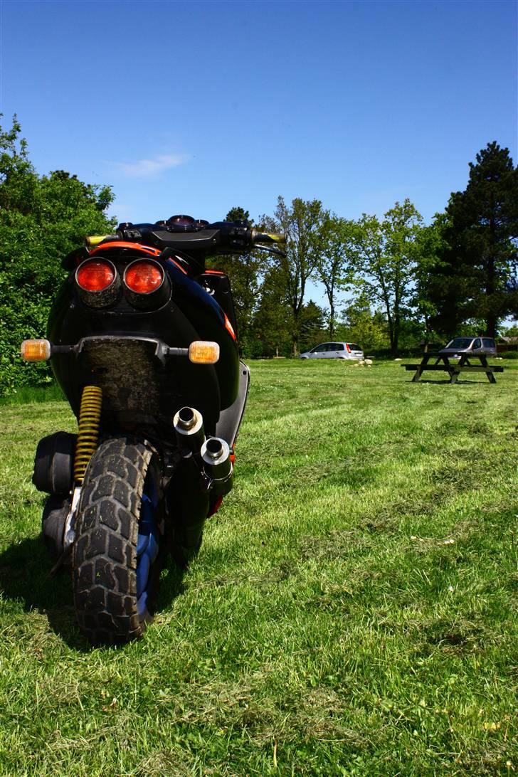 Aprilia sr50 ditech byttet billede 7