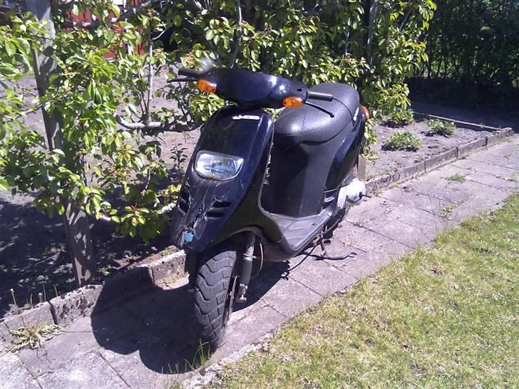 Piaggio typhoon  billede 1