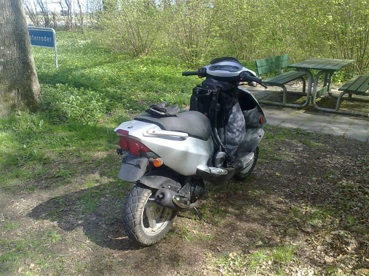 PGO Dr. Big (solgt) billede 2