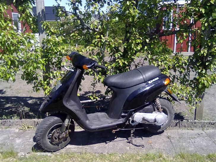 Piaggio typhoon  billede 4