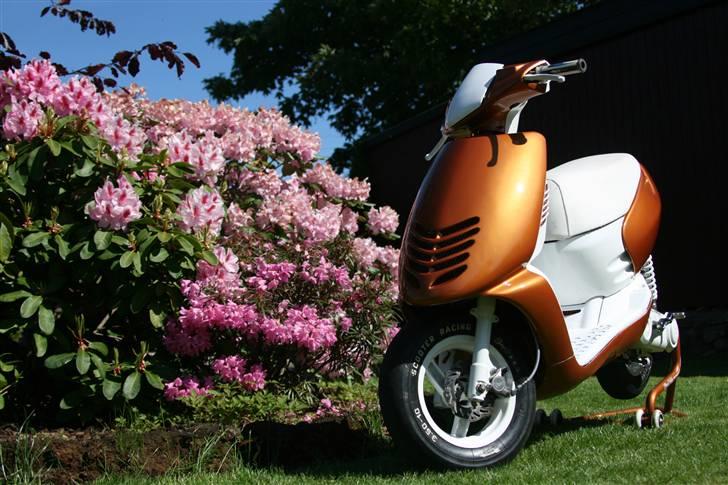 Aprilia Sonic Evo AC billede 1