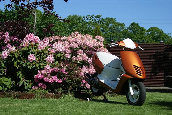 Aprilia Sonic Evo AC billede 2