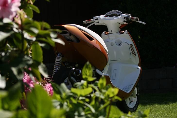 Aprilia Sonic Evo AC billede 4