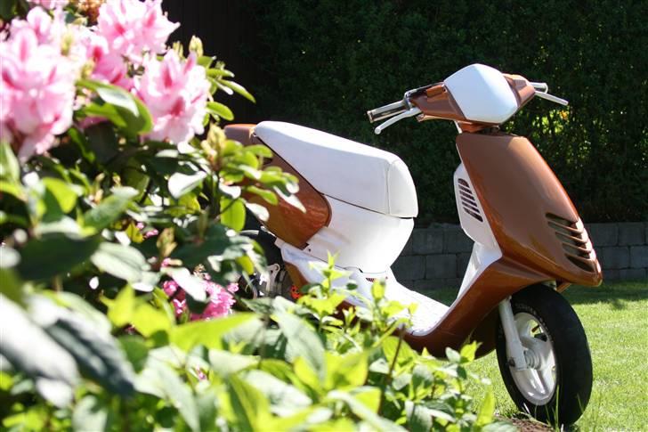 Aprilia Sonic Evo AC billede 7