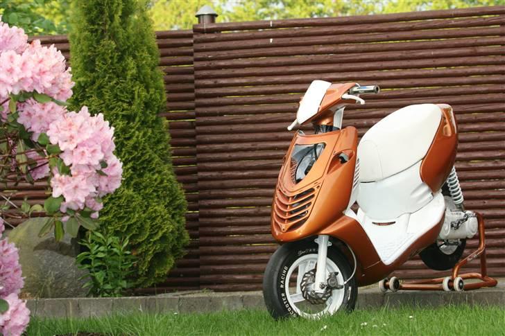 Aprilia Sonic Evo AC billede 9