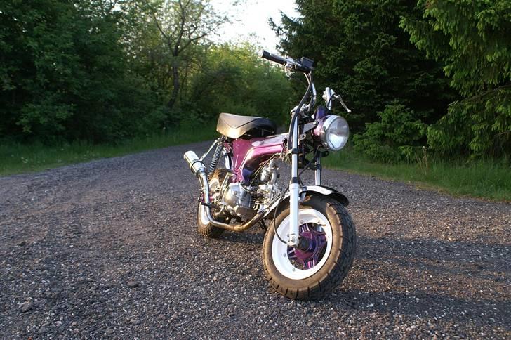 Skyteam dax 125ccm billede 3