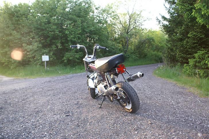 Skyteam dax 125ccm billede 9