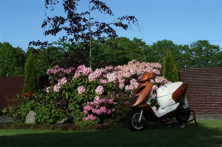 Aprilia Sonic LC TS billede 3