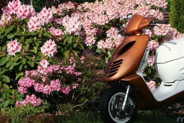 Aprilia Sonic LC TS billede 4