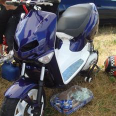 Aprilia rally ts lc (vild dyret)