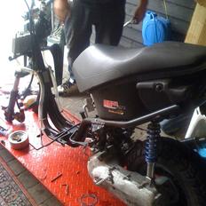 Aprilia rally ts lc (vild dyret)