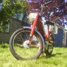 Motobecane Pantin * til salg*