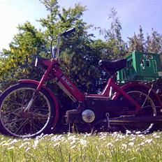 Puch Maxi P 1979 - Byttet