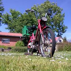 Puch Maxi P 1979 - Byttet