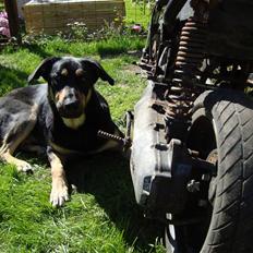 Aprilia SR 50 DD Under Ombygning