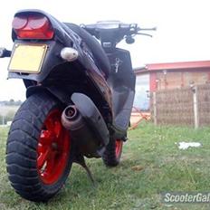 PGO hot 50    (SOLGT)