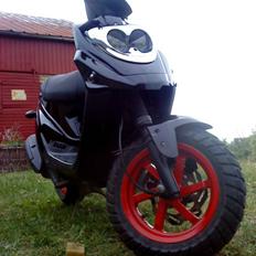 PGO hot 50    (SOLGT)