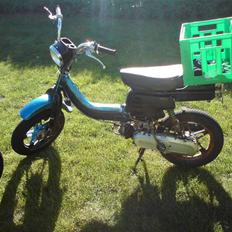 Suzuki FZ 50   "shreck" SOLGT