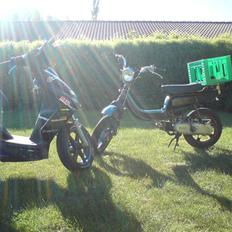 Suzuki FZ 50   "shreck" SOLGT