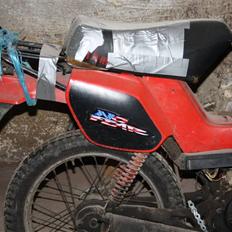 Yamaha sting