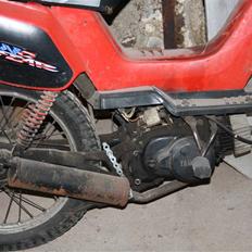 Yamaha sting