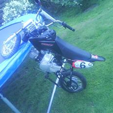 Moff crf 50 stunter