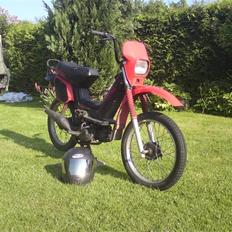 Yamaha SG50 Sting BYTTES