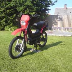 Yamaha SG50 Sting BYTTES