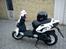 PGO pmx sport (Mammutten)