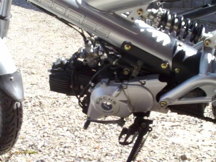 Sachs Madass Sachs billede 5