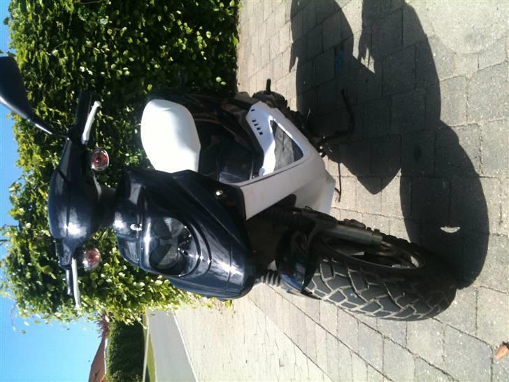 PGO hot 50 billede 7