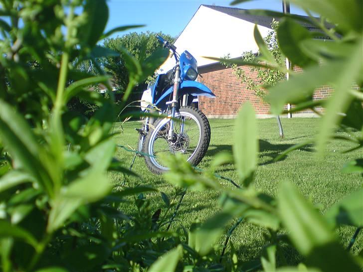 Suzuki RMX (BYTTET) billede 2