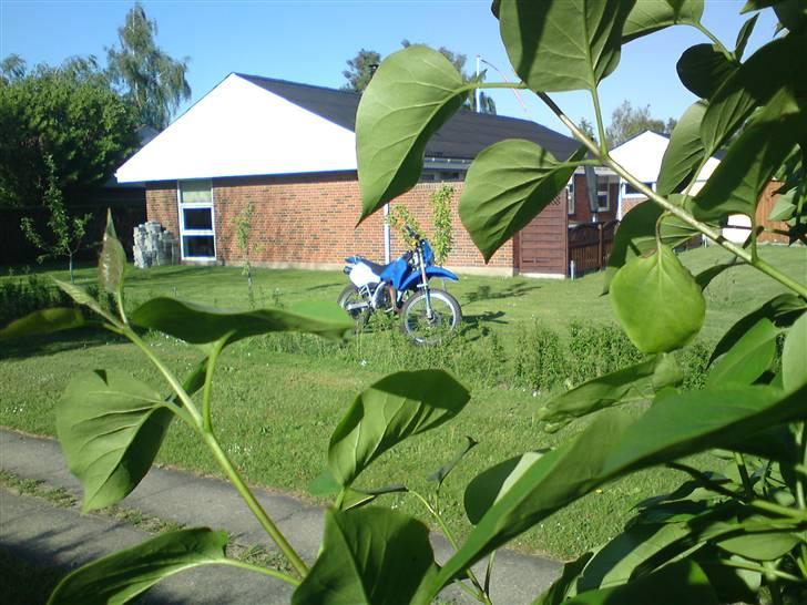 Suzuki RMX (BYTTET) billede 9