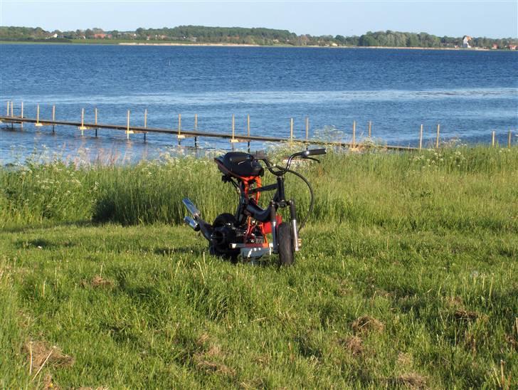 Suzuki Fz sonic byttet billede 1