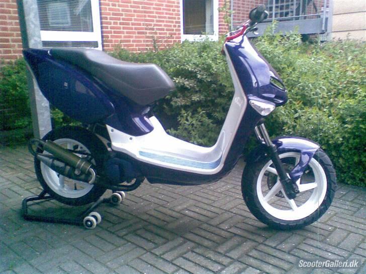 Aprilia rally ts lc (vild dyret) billede 11