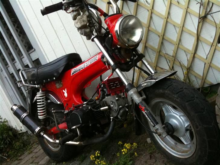 Skyteam Dax billede 2