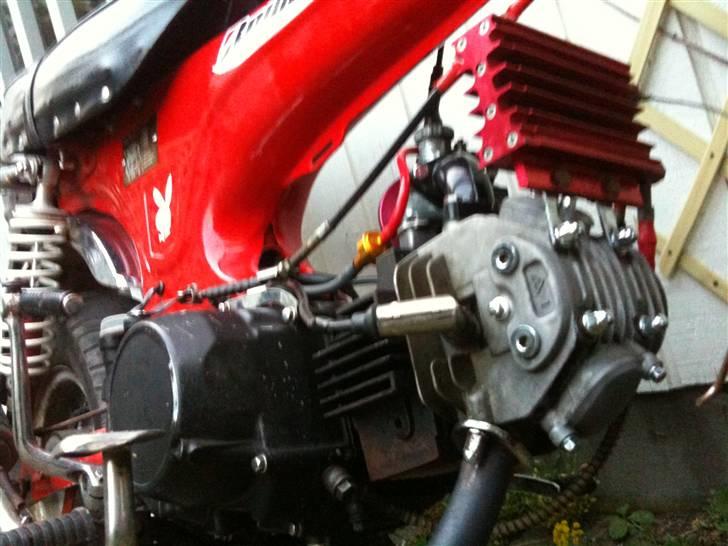 Skyteam Dax billede 4