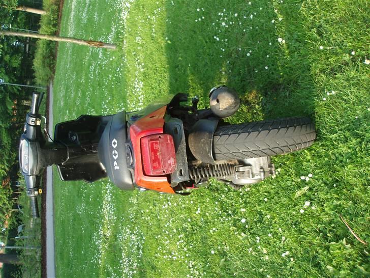 PGO Hot 50 (næsten alt solgt) billede 1